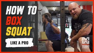 How To Box Squat LIKE A PRO These Tricks Will Give You CRAZY Gains [upl. by Llerej]