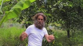 How To Grassland to a Permaculture Food Forest Paradise Ian Trew Noosa Australia PDC 2024 Course [upl. by Auqinimod]