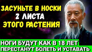 Ноги 100 ПЕРЕСТАНУТ болеть и уставать Просто ПОЛОЖИТЕ в носки 2 листа [upl. by Idou414]