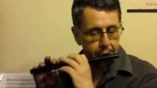 Simple Piccolo demo Trumpet Hornpipe etc [upl. by Swirsky]