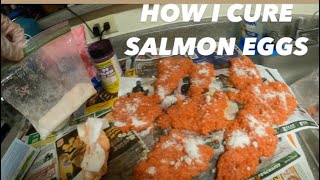 HOW TO CURE SALMON EGG FOR BAIT [upl. by Clemmy]