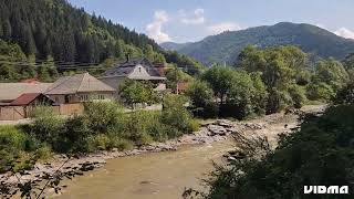 Walk with Mocanita in Viseu de Sus Maramures Romania II [upl. by Candy]