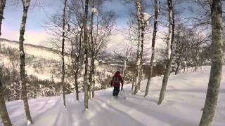 Skiing in Rusutsu Japan [upl. by Craw630]