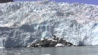 Kenai Fjords Tours Alaskas  1 Wildlife and Glacier Cruise [upl. by Chladek]