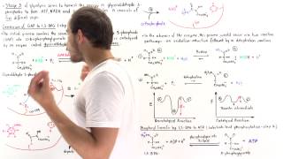 Stage 3 of Glycolysis Steps 6 7 [upl. by Ocramed57]