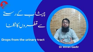 Drops from the urinary tractپیشاب کے رستے سے قطروں کا نکلناDr Imran Qadir [upl. by Block]