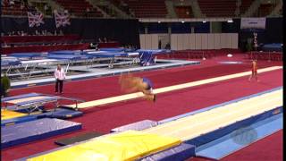 Kristof WILLERTON GBR  2013 Tumbling World Champion [upl. by Breban285]