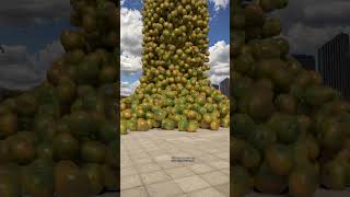 Vegetable collision and scattering effects [upl. by Fanestil]