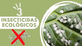 👉 3 POTENTES INSECTICIDAS QUE NO TE FALLARAN‼️Para HUERTO y JARDÍN [upl. by Yde476]