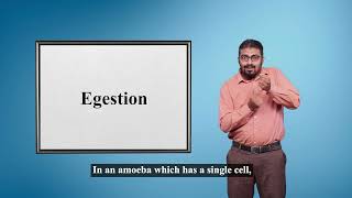 quotEgestionquot  Indian Sign Language Tutorial  How to sign [upl. by Schroder]