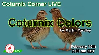 Coturnix Colors by Martin Yardley  Coturnix Corner LIVE [upl. by Shanks420]