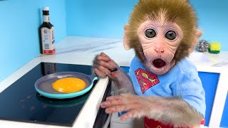 Monkey Baby Bon Bon go to the supermarket to buy kitchen utensils and eats eggs with puppy [upl. by Nohs409]