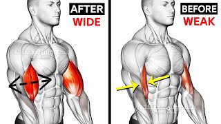 BEST Biceps Routine Transform Your Bicep Today [upl. by Loresz]