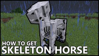 How To Get A SKELETON HORSE In MINECRAFT [upl. by Nova]