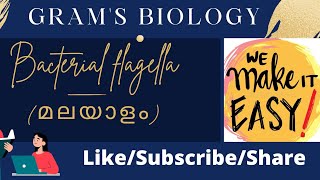 BACTERIAL FLAGELLA in Malayalam medicalmicrobiology malayalam bscmlt bscnursing paramedical [upl. by Fatimah469]