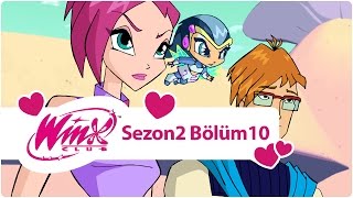 Winx Club  Sezon 2 Bölüm 10  Kodeksin Mahzeni [upl. by Gewirtz]