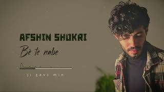 Afshin Shokri  bê te nabe  lyrics [upl. by Zelle143]