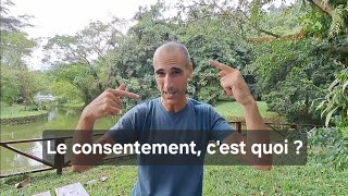 Le consentement  comment ne pas finir en taule [upl. by Regor]