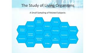 Life Sciences Project Management 101 [upl. by Dnartreb]