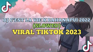 DJ CEST LA VIE X BAHANAPUI 2022 SLOWED VIRAL TIKTOK 2023 [upl. by Bacon]