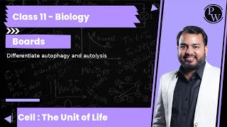 Differentiate autophagy and autolysis [upl. by Ahseinod]