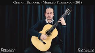 2018 Paulino Bernabe Concert Flamenco Guitar played by Eduardo Costa [upl. by Zechariah381]