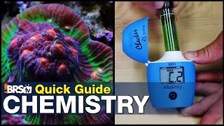 Quick Guide to Mastering Reef Tank Chemistry  Become an expert reef tank chemist without a degree [upl. by Cherye]