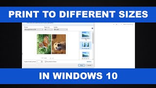 How to Print Photos in Different Sizes in Windows 10 [upl. by Atlante507]