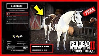 ЛУЧШАЯ БЕСПЛАТНАЯ ЛОШАДЬ В RDR2  Где Найти amp Как Получить  Арабская Белая  Red Dead Redemption 2 [upl. by Atenahs]