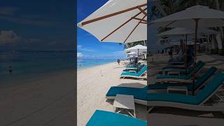 Philippines Beach Getaway Henann Alona Beach Might Be Your Answer bohol [upl. by Eelnyl]