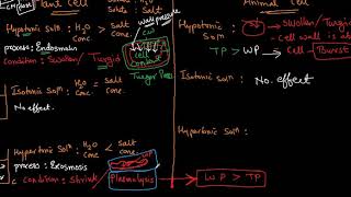 ICSE Class X Biology Absorption By Roots Episode 214 [upl. by Notlaw]