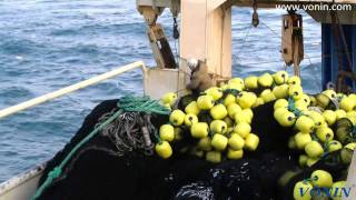 mv Jupiter purse seining for Caplin [upl. by Marola]