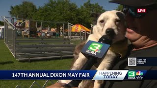 Heres what to know about the 2024 Dixon May Fair [upl. by Aliuqaj]