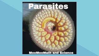 ParasitesSymbiotic Relationships [upl. by Ryter]