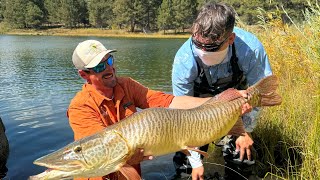 Colorados Most Epic Fishing Adventures [upl. by Eniamurt55]