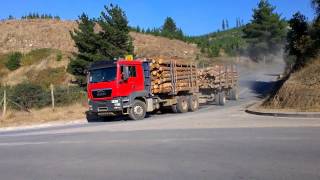 SCANIA MERCEDES MAN VOLVO camiones forestales sur de Chile [upl. by Majka]