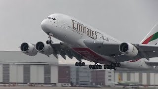 Airbus A380 Emirates Airlines  Take Off and Landing [upl. by Miza]