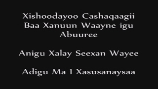 CAAQIL YARE 2016 XASILI LYRICS [upl. by Bopp]