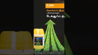 BASF launch New INSECTICIDE IMMUNIT shorts ModernAgriculturre farming [upl. by Nnad]