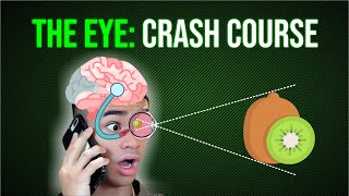 The Eye Crash Course Pupil Reflex Focussing Reflex [upl. by Utir]