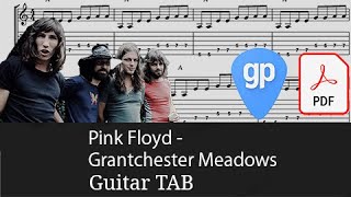 Pink Floyd  Grantchester Meadows 2011 Remastered Version Guitar Tabs TABS [upl. by Redmer]