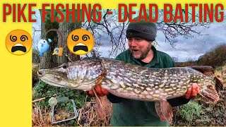 Pike Fishing Result  Fishing a shallow small river Video210 [upl. by Wickman]