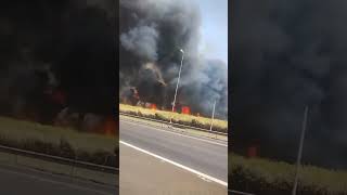 Disaster in Brazil climatechange arsonists wildfires globalwarming burning [upl. by Nylessej239]