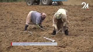 GABON AGRICULTURE LE FONCIER AGRICOLE EFFECTIF DANS LE PAYS [upl. by Einahteb945]