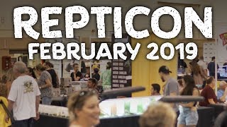 Tampa Repticon Feb 2324 2019 [upl. by Ahusoj]