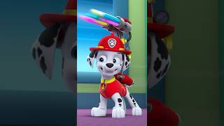 PAW Patrol  La Pat Patrouille  La Pat Patrouille chante la chanson de lamitié  💗 Shorts [upl. by Kcirdderf]