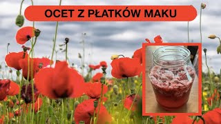 Właściwości Makowego Octu [upl. by Searby]