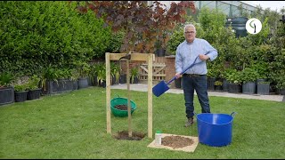 How to plant a tree grown in a container  a professional guide [upl. by Stag381]