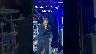 Damian quotJr Gongquot Marley ft Stephen quotRaggaquot Marley  quotTroublequot  LIVE [upl. by Vanna786]