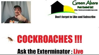 Roaches  How to eliminate them  LIVE STREAM [upl. by Perlie]